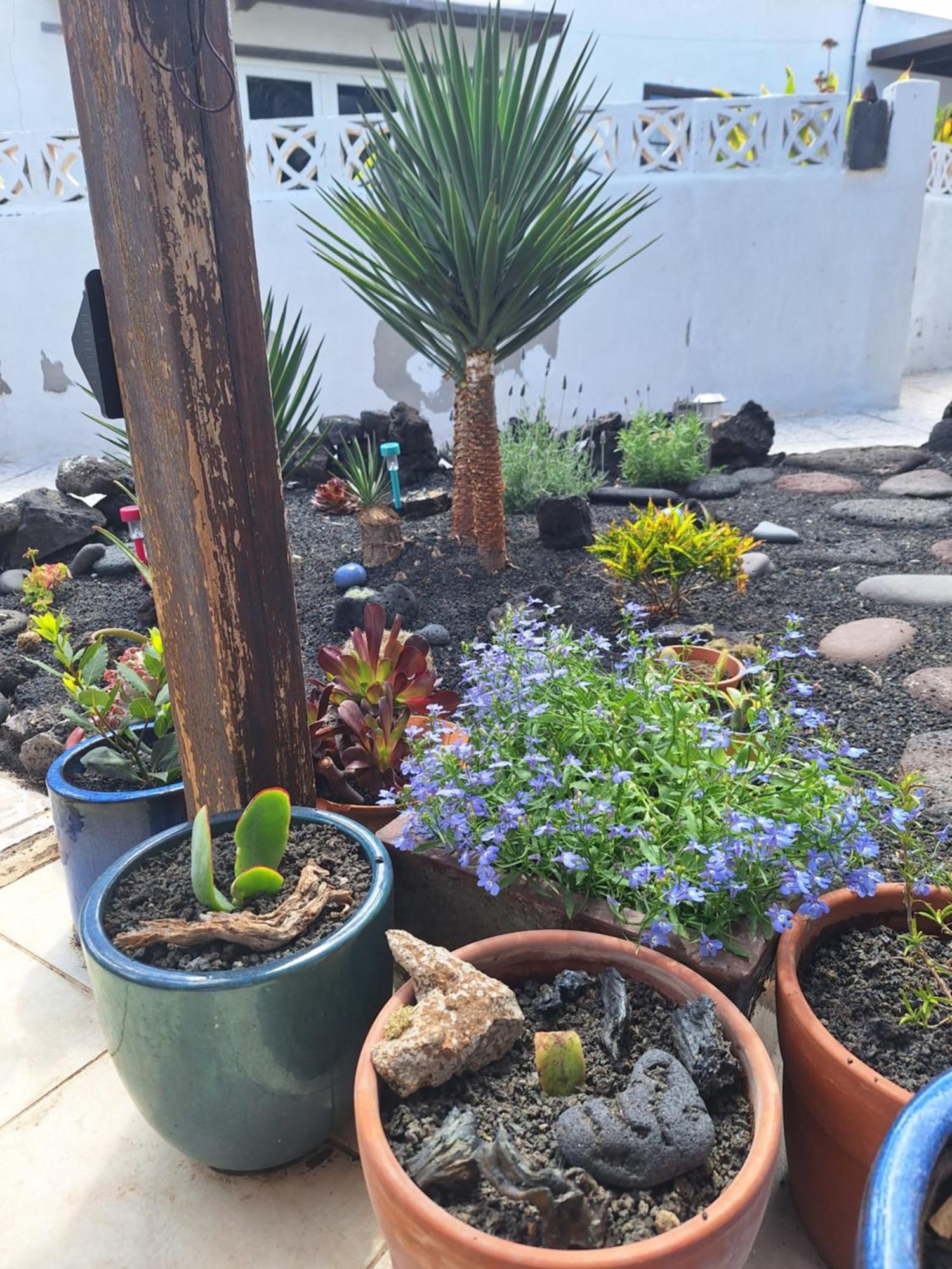 Casita Pequena Lanzarote Villa Teguise  Exterior foto